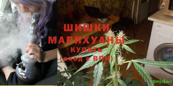 индика Абдулино